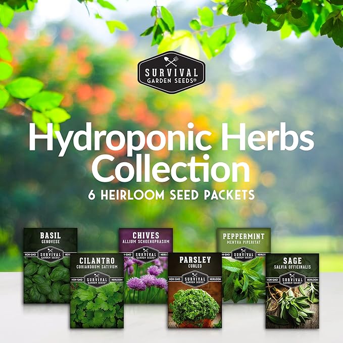 Hydroponic Herb Seeds for Indoor Garden | 6 Variety Pack – Peppermint, Curled Parsley, Cilantro, Basil Genovese, Chives, Sage – Heirloom Non-GMO Culinary Seed Collection – Survival Garden Seeds