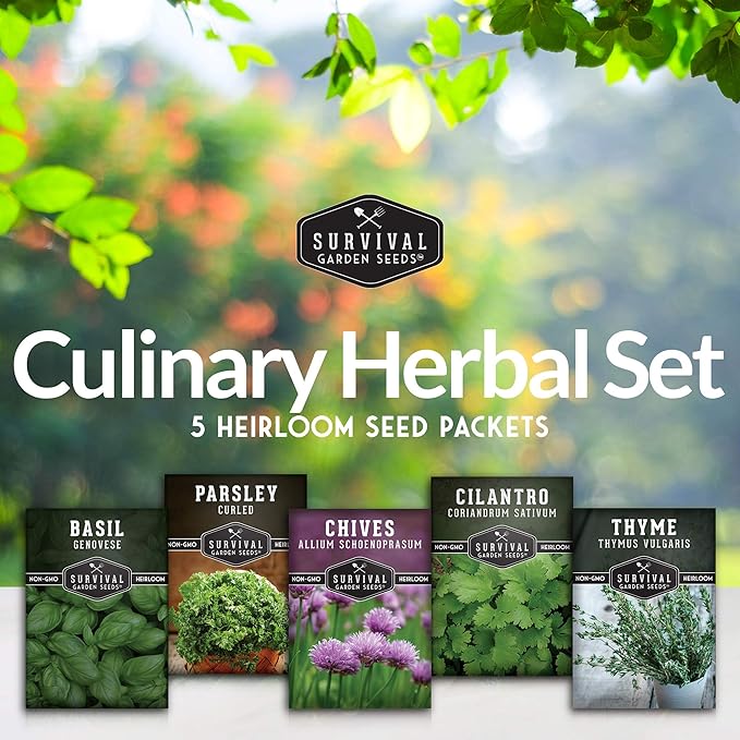 Kitchen Herb Seeds Variety Pack – 5 Garden Herb Seeds for Planting: Basil, Curly Parsley, Cilantro, Chives & Thyme – Heirloom Non GMO Indoor Outdoor Seed Vault - Survival Garden Seeds