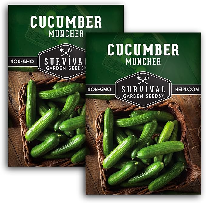 Muncher Cucumber Seeds for Planting | Burpless Variety with Smooth Skin for Snacking or Slicing – Survival Garden Seeds (2 Packs)