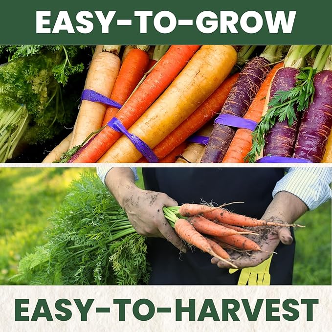 Carrot Rainbow Mix – 4,500 Premium Heirloom Seeds for Planting – Colorful, Sweet Root Blend for Garden & Kitchen for the 2026 Season – 5 Gram Pouch