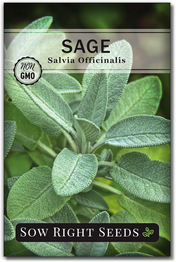 Sow Right Seeds - Sage Seeds for Planting - Non-GMO Heirloom Packet with Instructions to Plant and Grow Kitchen Herb Garden - Indoor or Outdoor - Great for Pollinators - Culinary Seasoning (1)
