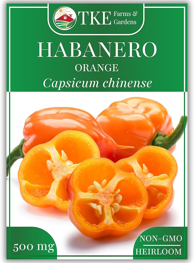 TKE Farms & Gardens - Orange Habanero Pepper Seeds for Planting, 100+ Heirloom Non-GMO Hot Chili Seeds, Fiery Flavor Perfect for Hot Sauce & Salsas, Capsicum chinense, 1 Packet