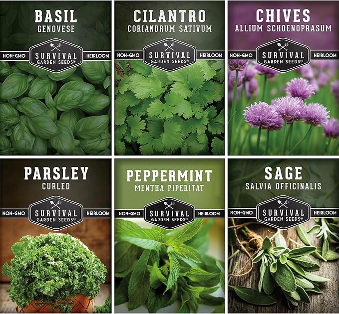 Hydroponic Herb Seeds for Indoor Garden | 6 Variety Pack – Peppermint, Curled Parsley, Cilantro, Basil Genovese, Chives, Sage – Heirloom Non-GMO Culinary Seed Collection – Survival Garden Seeds