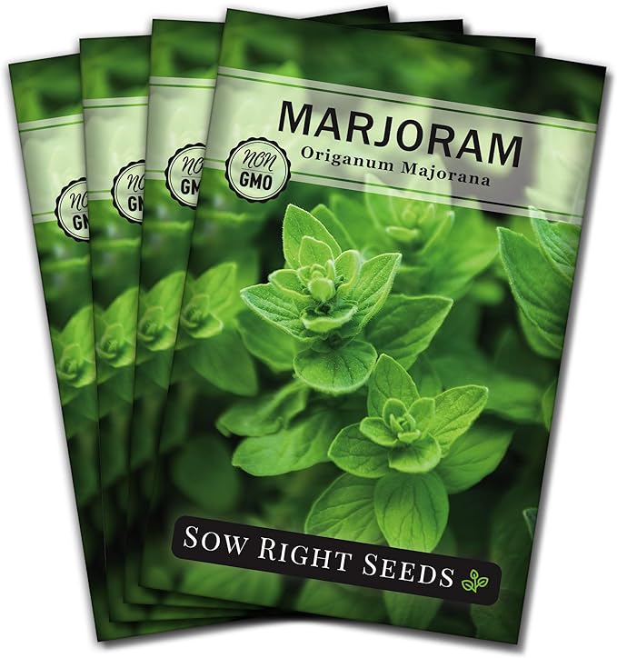 Sow Right Seeds - Marjoram Seeds for Plantin - Non-GMO Heirloom Packet with Instructions to Grow A Beautiful Herb Garden - Plant Indoors and Outdoors - Savory Culinary Herb in The Kitchen (4)