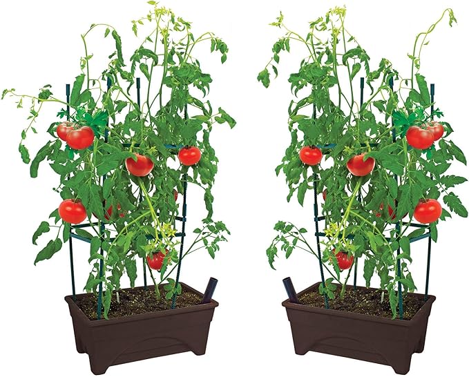 Emsco Group 2376-2-1 Start Pickin' Raised Bed Seed Starter-12 x 20"-2pk- Brown Grow Box