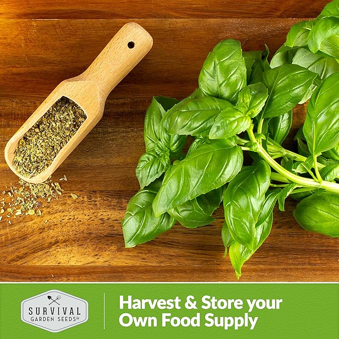 Basil Seeds Mix for Planting - Culinary Genovese Italian, Lemon, Lime, Opal & Thai Basil Seed Blend - Heirloom Non-GMO Kitchen Garden Herbs - Survival Garden Seeds (3 Packs)