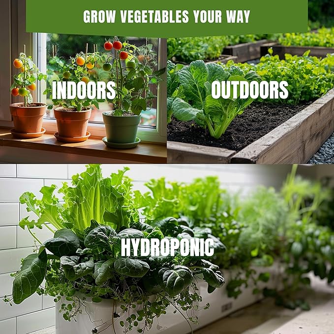 Beet Detroit Dark Red Seeds for Planting – 300+ Heirloom Beets, Sweet Tender Roots and Edible Greens, Non-GMO, High Germination, Indoor & Outdoor Garden (Beta vulgaris)