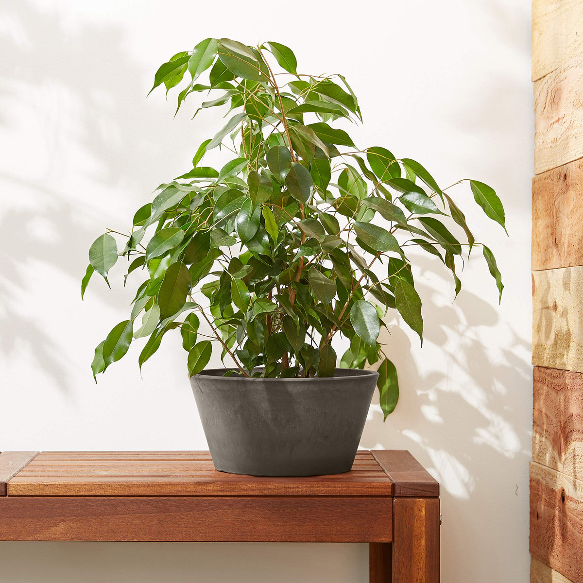 PSW Pot Collection TD25DC Plastic (Dark Charcoal / 10 by 5-Inch)