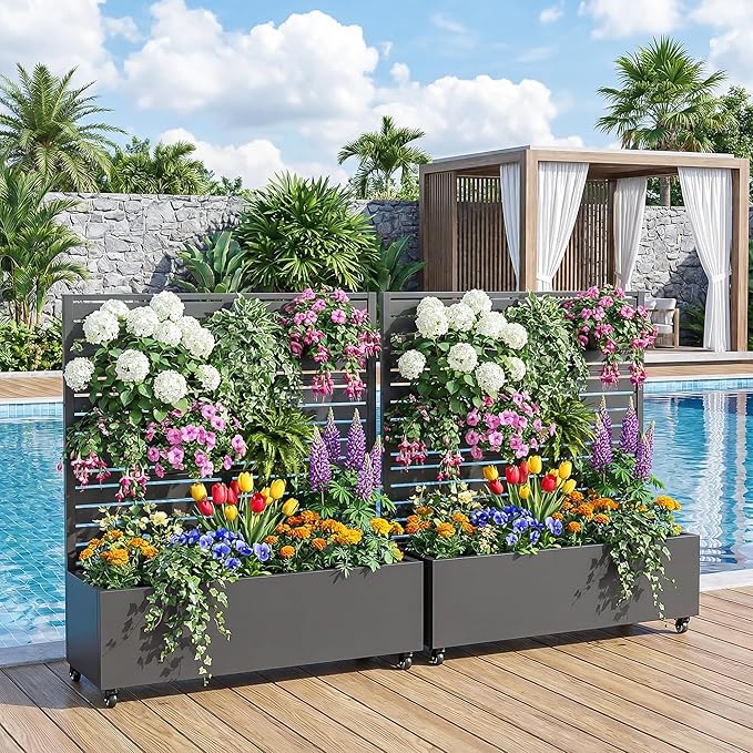 Casaphoria 47"x47" Metal Raised Garden Bed with Trellis(2 Pack), Outdoor Planter Box with Wheels & Drainage Holes for Climbing Plants, Flowers, Elevated Garden Kit with Privacy Screen, Black-Louvered