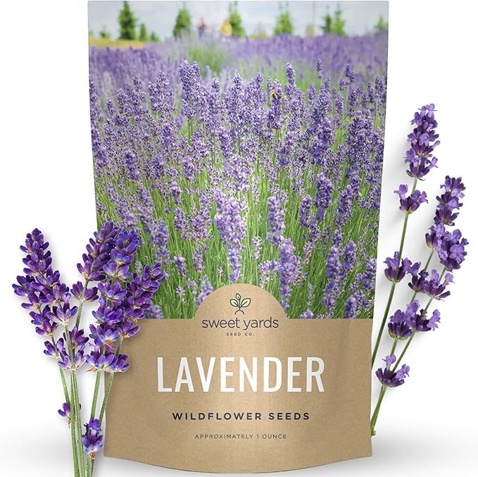 Lavender - Bulk 1 Ounce Pouch - 25,000 Flower Seeds for Planting - Lavandula angustifolia