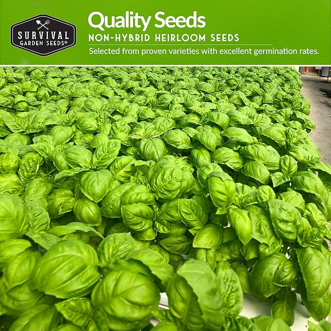 Hydroponic Herb Seeds for Indoor Garden | 6 Variety Pack – Peppermint, Curled Parsley, Cilantro, Basil Genovese, Chives, Sage – Heirloom Non-GMO Culinary Seed Collection – Survival Garden Seeds