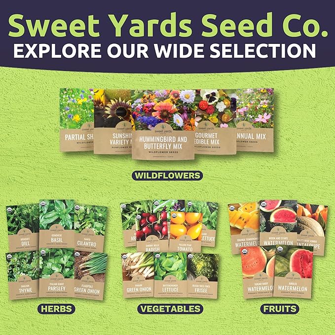 Sweet Yards Seed Co. Organic Lemon Balm – Two Seed Packets! – Approx. 682 Open Pollinated Non-GMO Herb Seeds