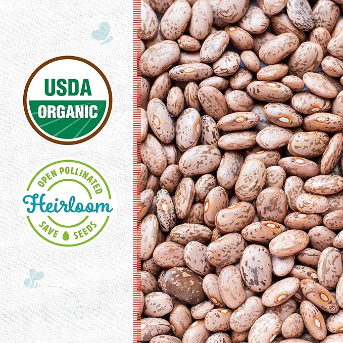 Back to The Roots 100% Organic Heirloom Seeds - Pinto Bean Seeds for Planting Value Pack (16.8g Total)