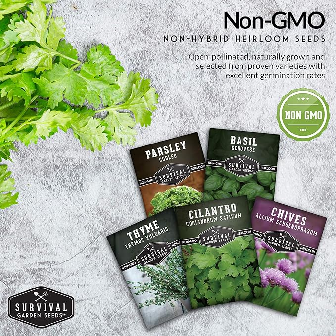 Kitchen Herb Seeds Variety Pack – 5 Garden Herb Seeds for Planting: Basil, Curly Parsley, Cilantro, Chives & Thyme – Heirloom Non GMO Indoor Outdoor Seed Vault - Survival Garden Seeds