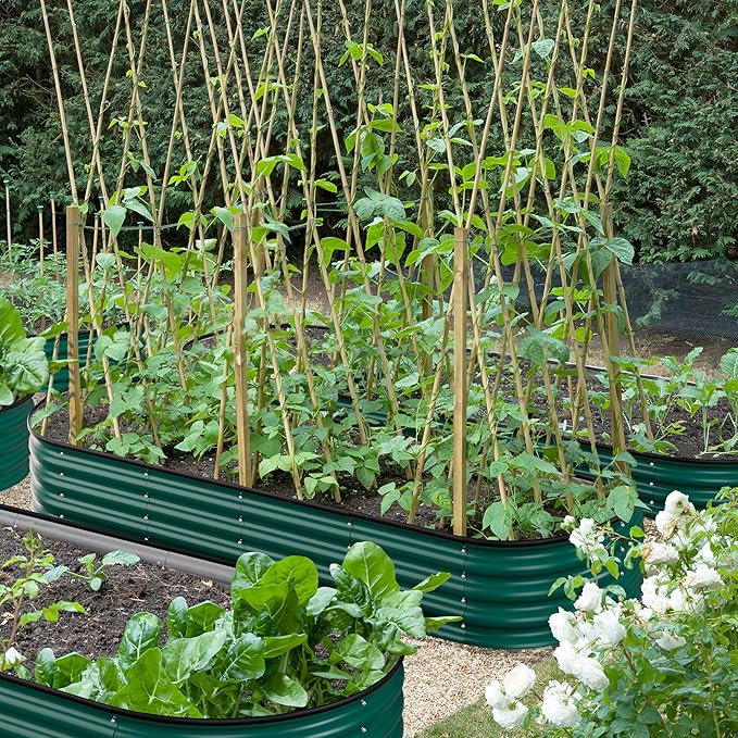 VEIKOU 11" H Raised Garden Bed, 8x2x1FT Galvanized Raised Garden Bed for Plants Flowers, Metal Planter Boxes Outdoor with Flexible Layouts, 9 in 1 Raised Garden Bed Kit, Green